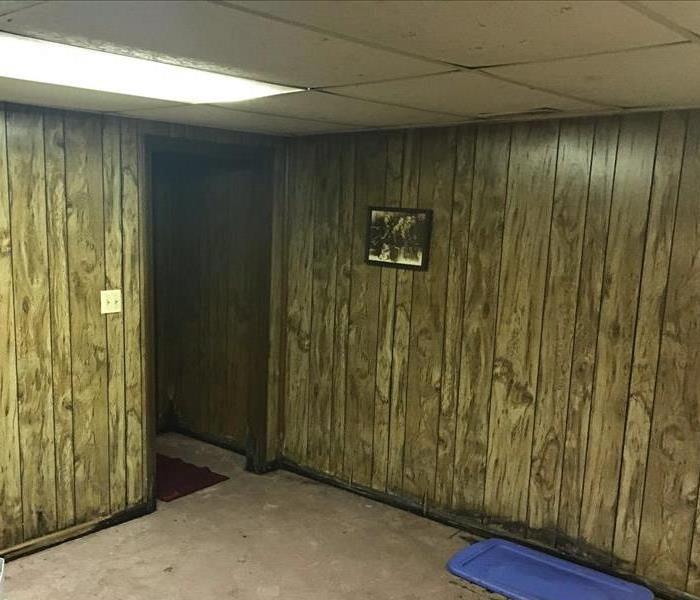 concrete basement with warped wood paneling 